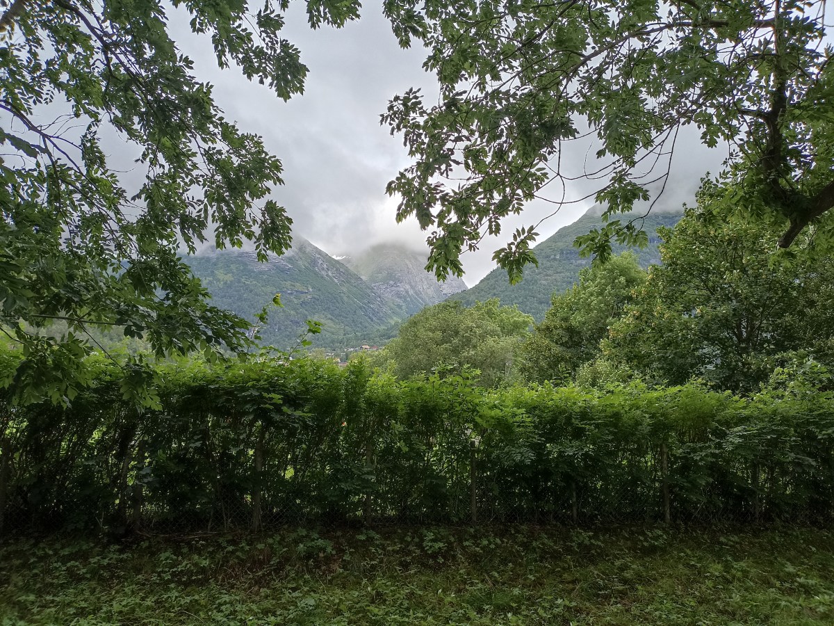 The Portal: You Arrive on the&nbsp;Island