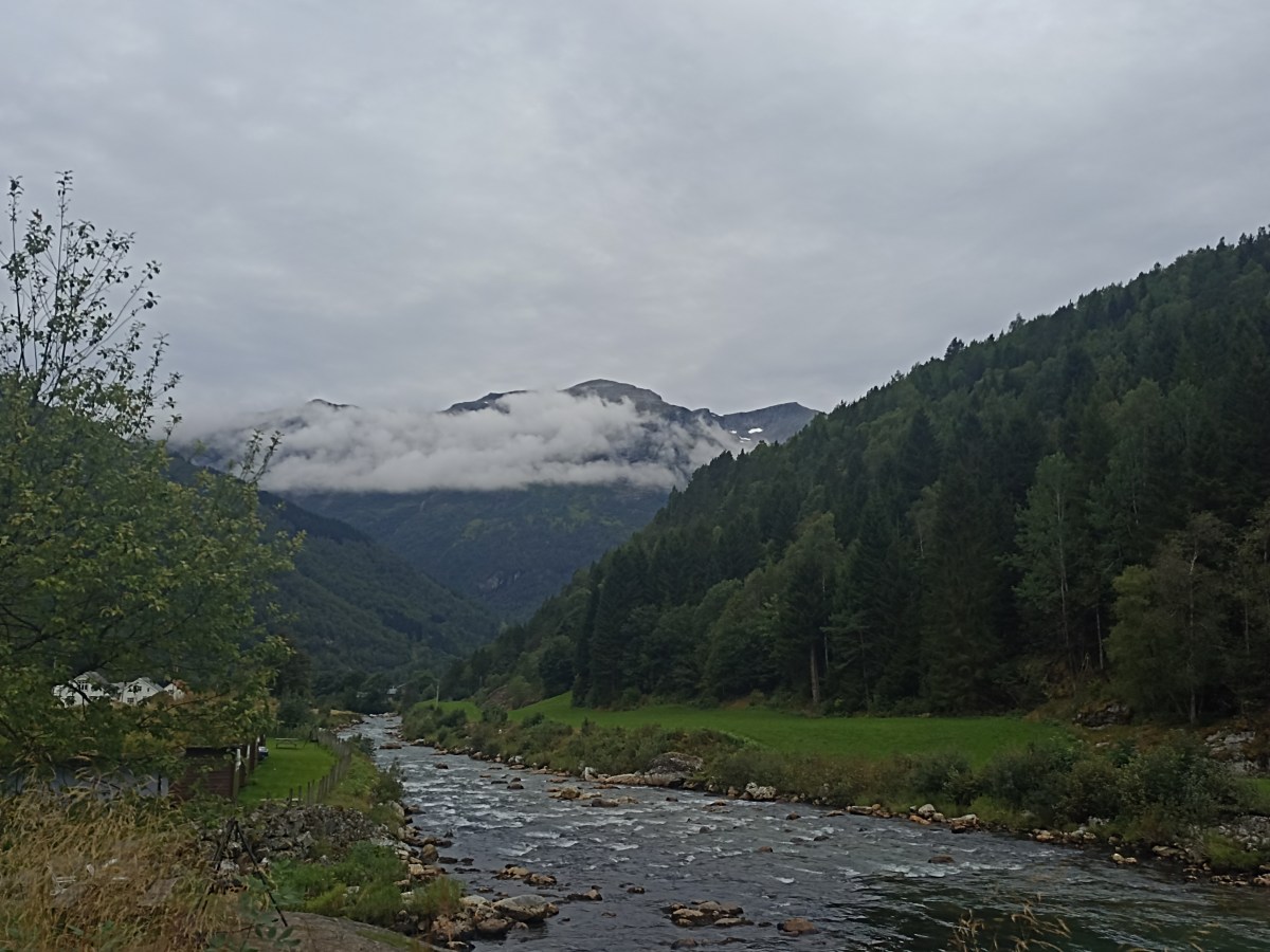 Yule Day 8:&nbsp;Abundance