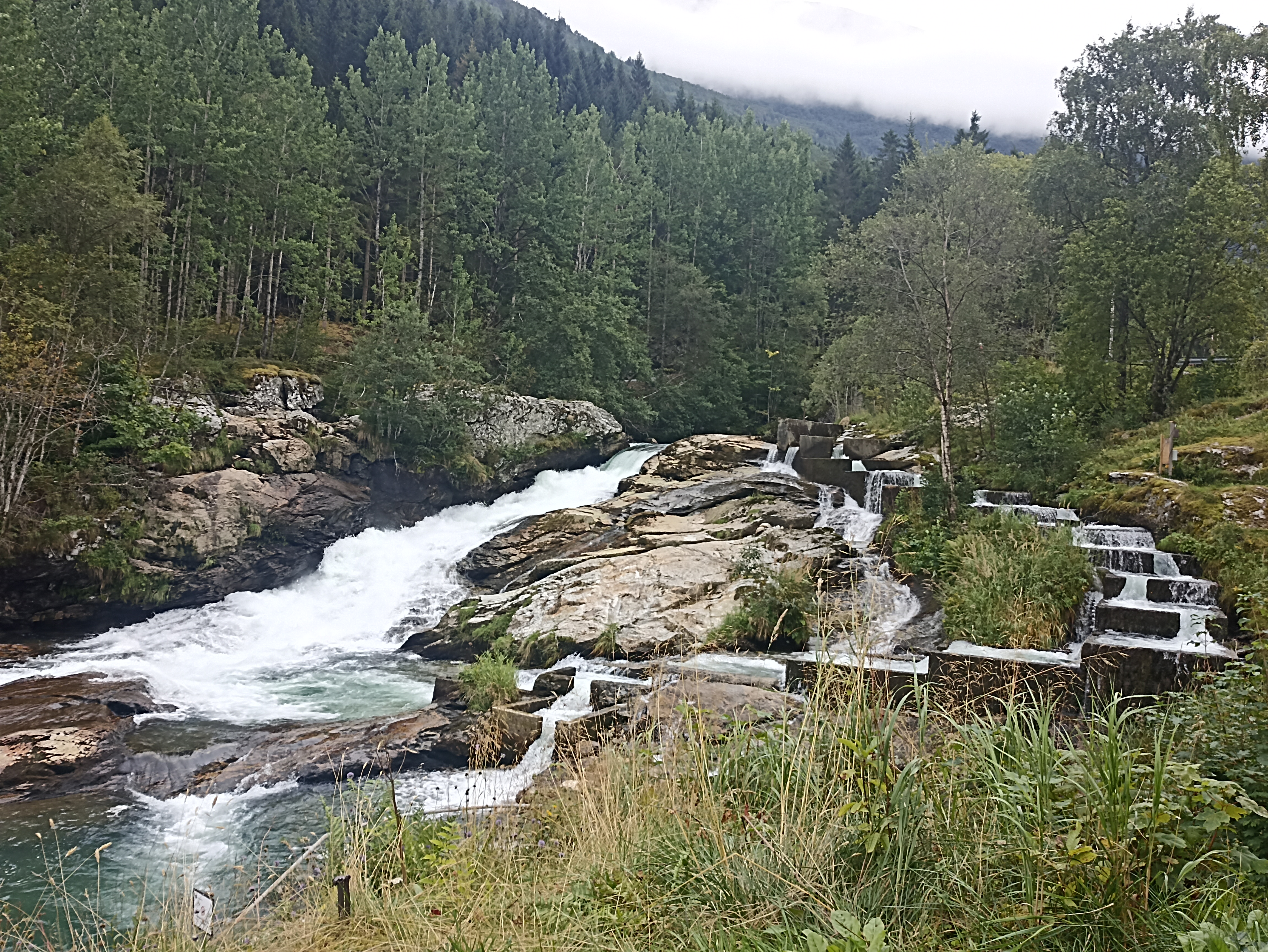 Willow Stream: A Guided Walk