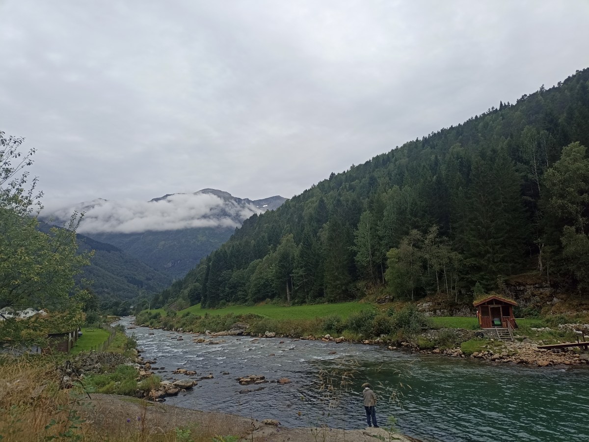 The Lost and Found&nbsp;Exchange