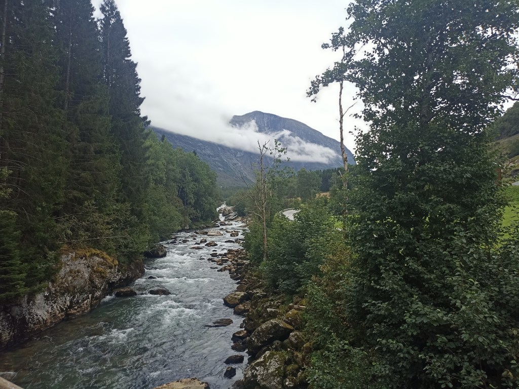 Pixie and Bumble’s Guide to the Portal